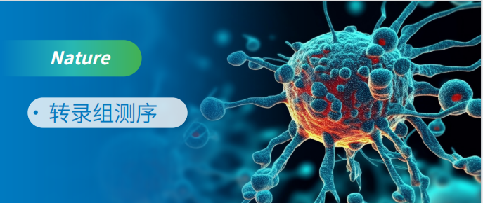 RNA-seq助力癌细胞凋亡研究登顶Nature！！！