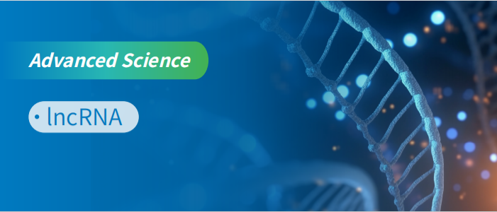 翻译组揭示隐藏在 lncRNA 中的蛋白调控转录因子 RNA “癌性”剪切机制