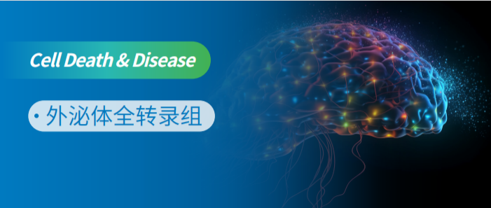外泌体全转录组测序研究脑胶质瘤外泌体促肿瘤双重作用新机制！