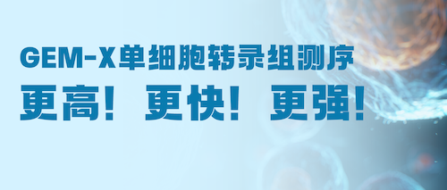 限时抢鲜 | 升级GEM-X单细胞转录组，成就数据质量新高